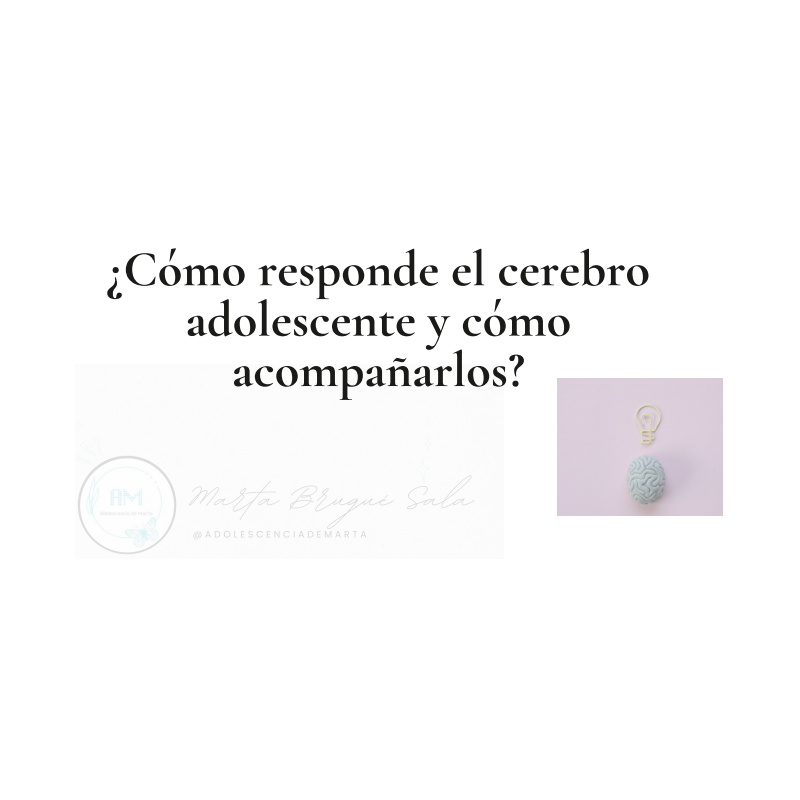Cómo responde el cerebro adolescente y cómo acompañarlos